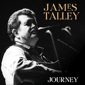 Bluesman by James Talley