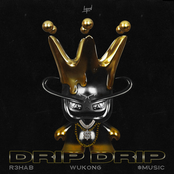 Drip Drip