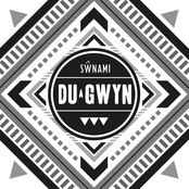 Du a Gwyn