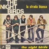 the night birds