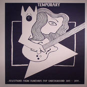 Temporary: Selections from Dunedin's Pop Underground 2011-2014