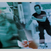 Silly Little Aardvark