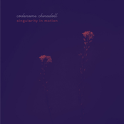 Singularity In Motion