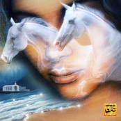 GET LOVED OR DIE TRYIN'