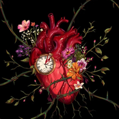 Ready or Not (Rock Version)