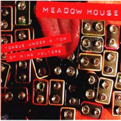 Anti Music by Meadow House