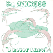 The Avocados: I Never Knew