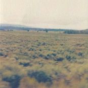 Caroline Says ~ 50,000,000 Elvis Fans Can't Be Wrong