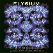 A Journey Into The Complex Brain by Elysium