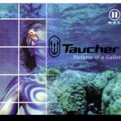 Pictures Of A Gallery (Radio Edit)