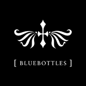 bluebottles