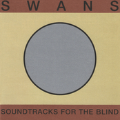 Swans: Soundtracks for the Blind