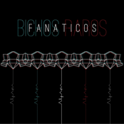Bichos Raros
