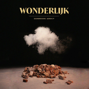 Wonderlijk