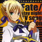 Fate/Stay night TV song collection- ricordanza -