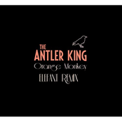 Orange Monkey (Elefant Remix)