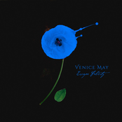 Escape Felicity - Single