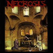 Vacant Diocese by Necrosis