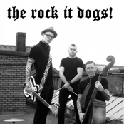 the rock-it dogs