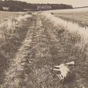 prairies
