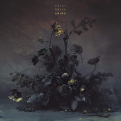 Akira - Single