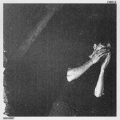 David August: D'ANGELO