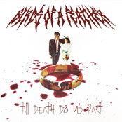 Till Death Do Us Part (feat. Berried Alive)