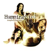 I Want Your Love by Hummingbird