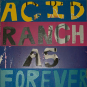 The Honky Song by Acid Ranch