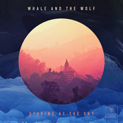 Whale and The Wolf: Staring At The Sky