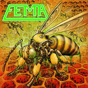F.E.M.A.