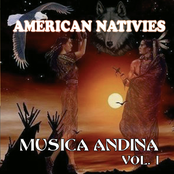 Musica Andina, Vol. 1