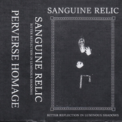 Bitter Reflection in Luminous Shadows