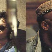 womack & womack