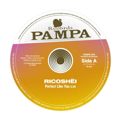 Perfect Like You / Woolloomooloo