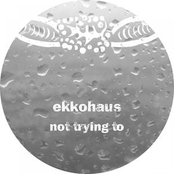 First Time (feat. Caroline) by Ekkohaus