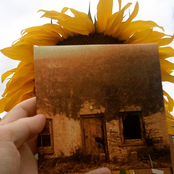 Found Photographs of Ancestors
