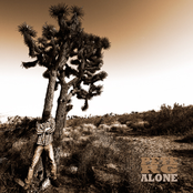 Alone - The Single