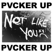 Not Like You