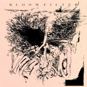 Bloom Filter