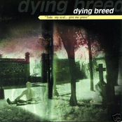 Take My Soul... Give Me Grave