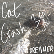 Cat Crash: Dreamer