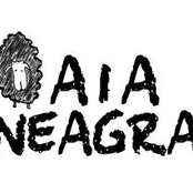 oaia neagra