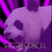 Purple Panda