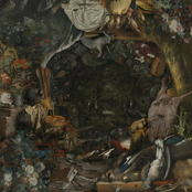 Slow Violence, and a Silent Rise