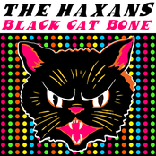 Black Cat Bone