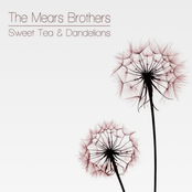 Sweet Tea & Dandelions