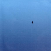 The Isle Of Wight EP