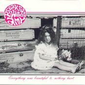 Everything Was Beautiful and Nothing Hurt