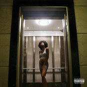 Junglepussy: Pregnant with Success